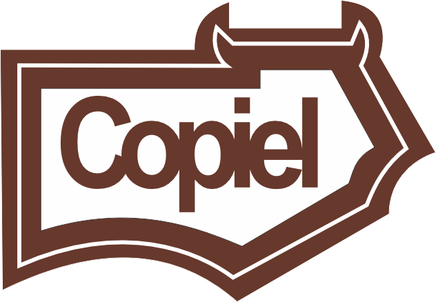 LOGO COPIEL